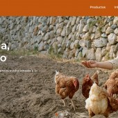 12avicolalescano