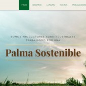 12junpalmaperu